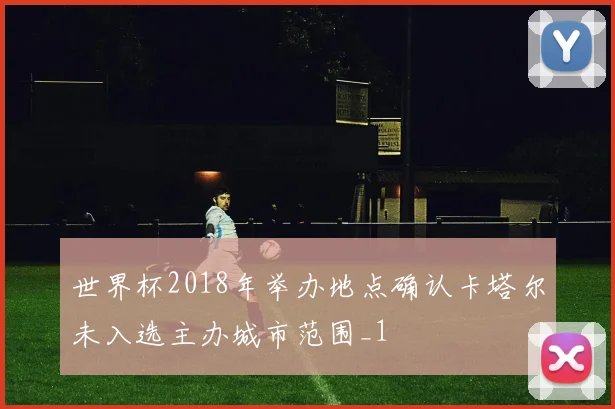 世界杯2018年举办地点确认卡塔尔未入选主办城市范围_1